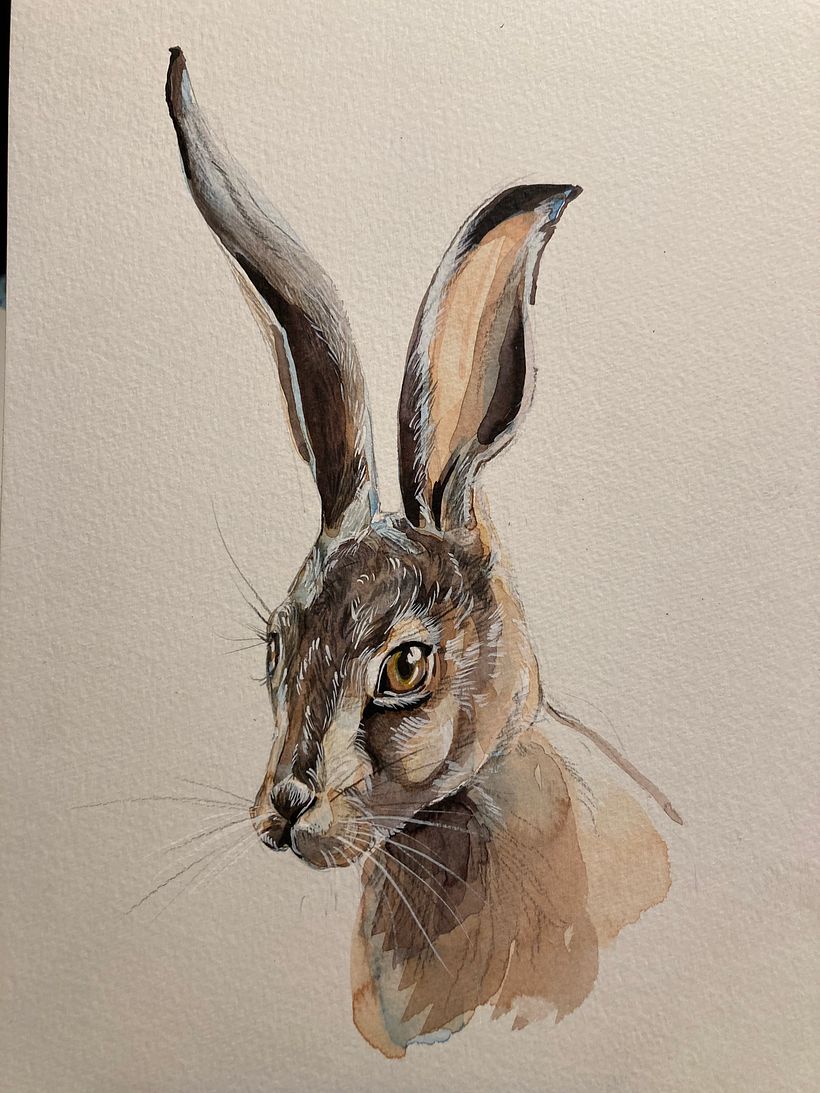 My project in Experimental Watercolor Techniques for Beginners course 6