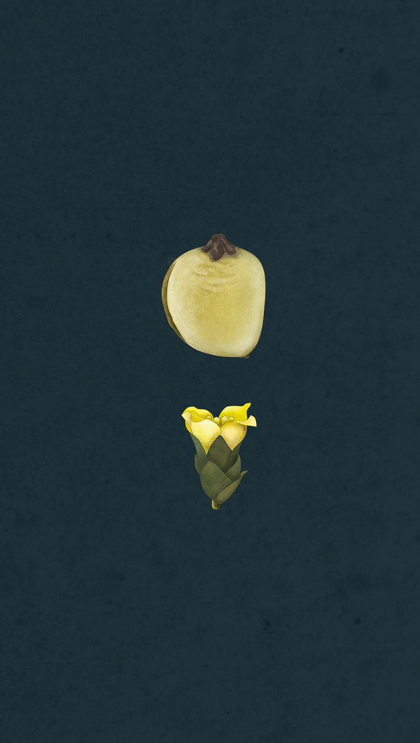 Ilustración botánica 7