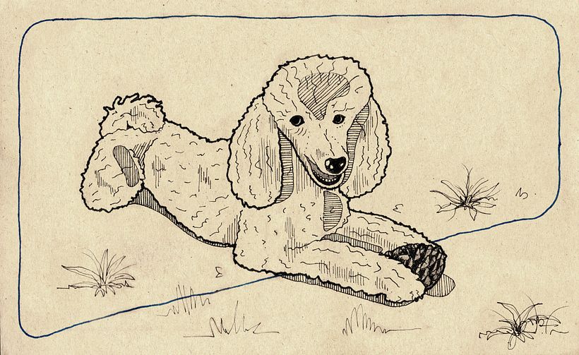My project in Illustrated Diary: Fill Your Sketchbook with Experiences course - Geleneksel illüstrasyon