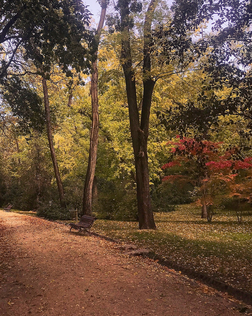 Around the world 11