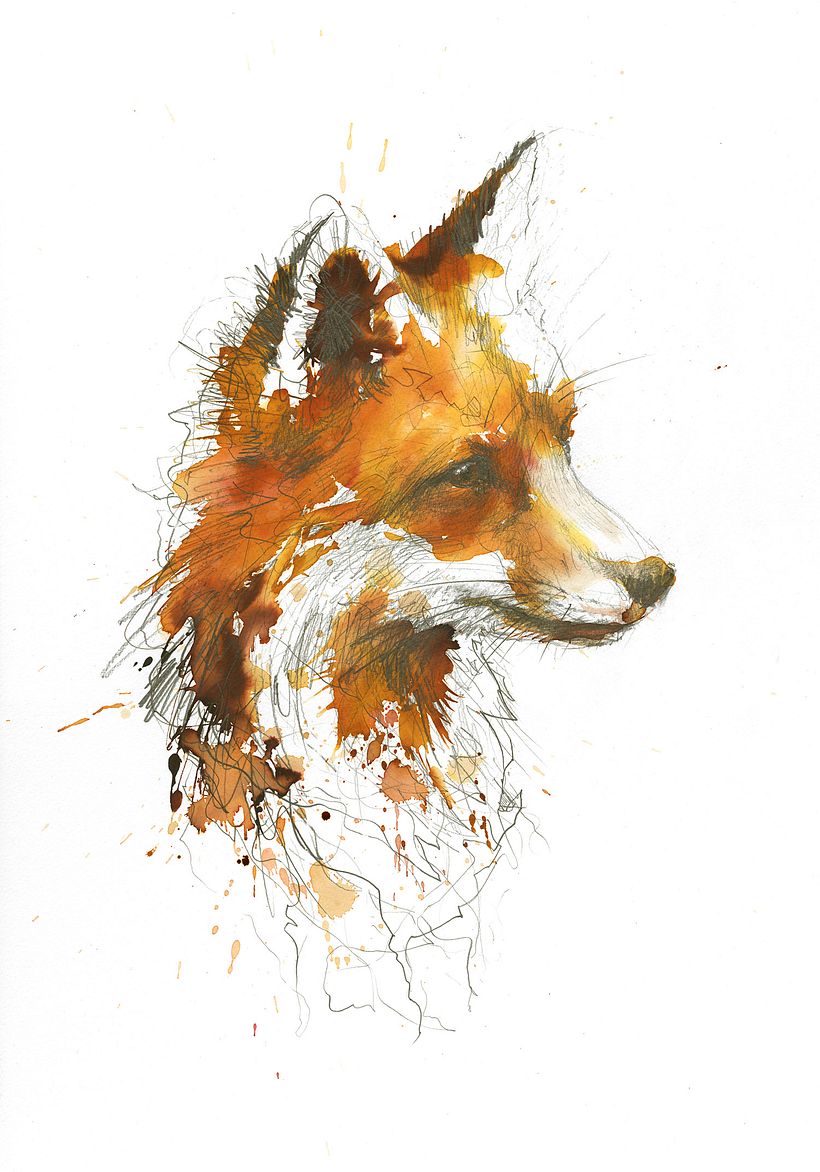 The Solitary Fox (with timelapse video) - Traditional illustration