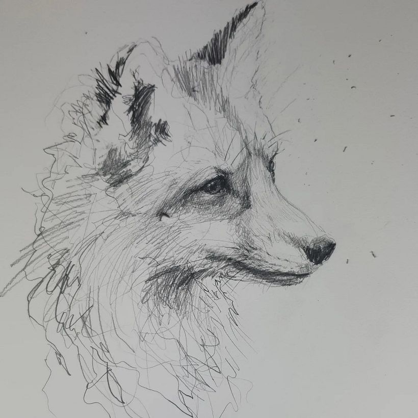 The Solitary Fox (with timelapse video) - Traditional illustration