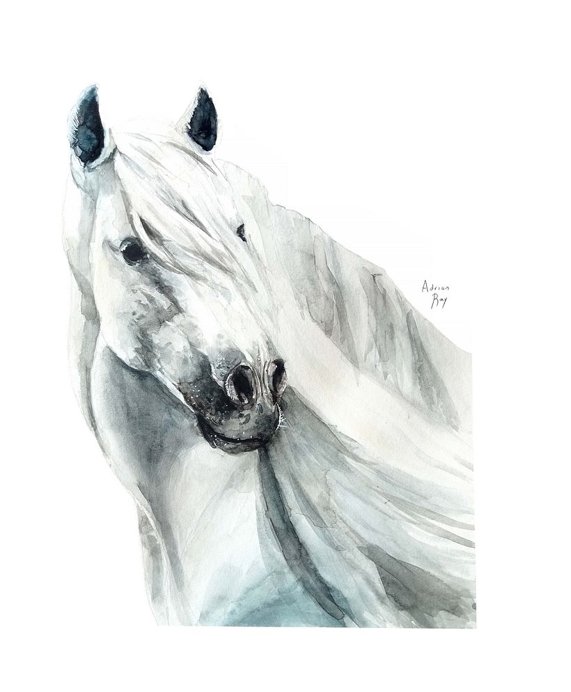 Mi Proyecto del curso: Retratos expresivos de animales en acuarela 1