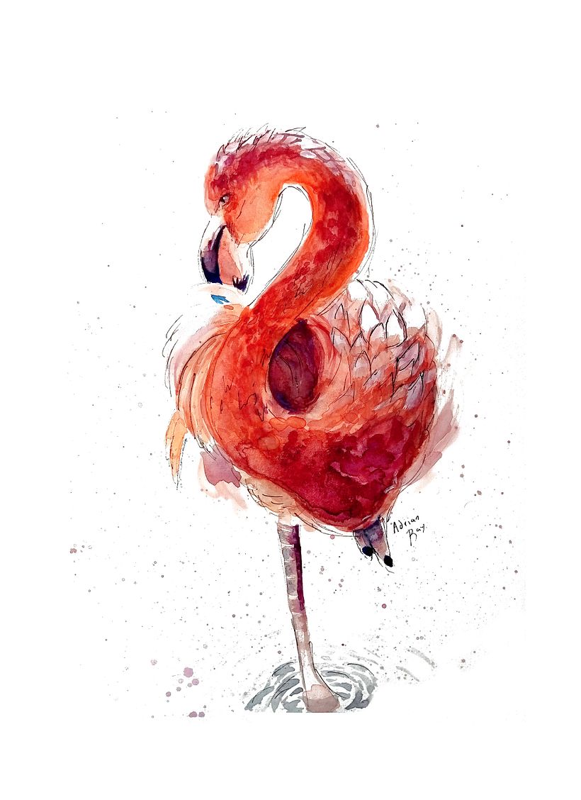 Mi Proyecto del curso: Retratos expresivos de animales en acuarela 4