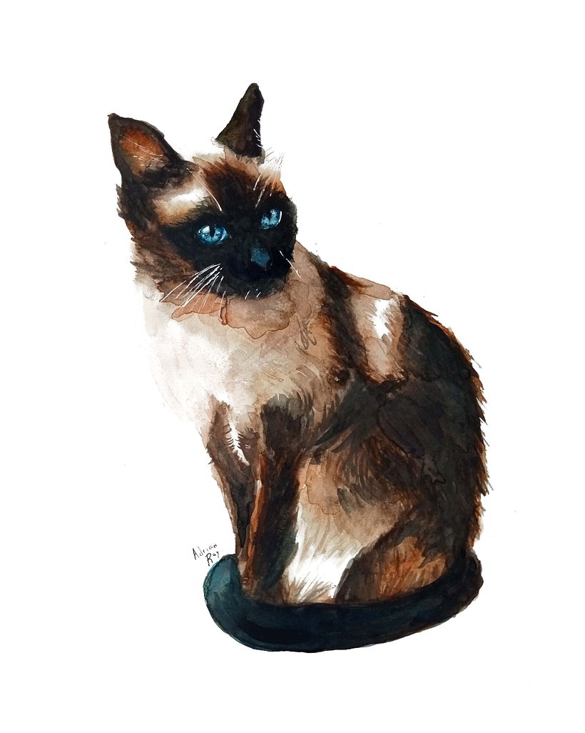 Mi Proyecto del curso: Retratos expresivos de animales en acuarela 2