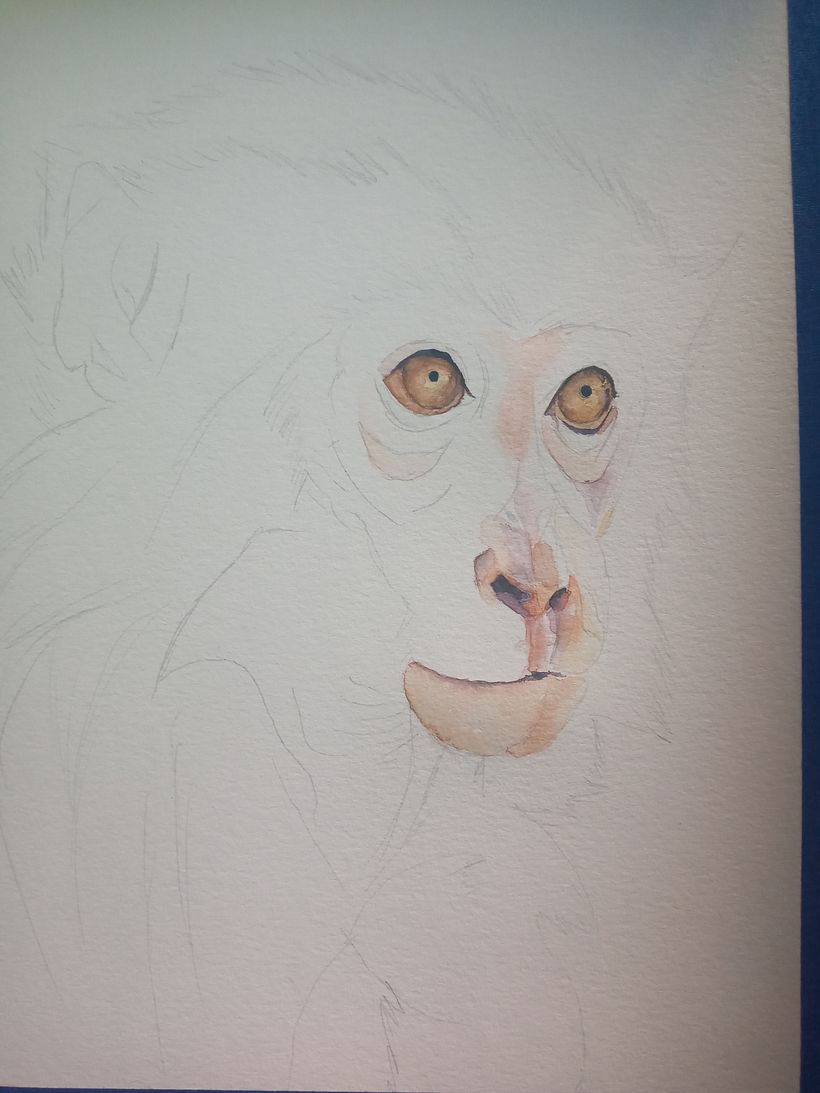 Mi Proyecto del curso: Retratos expresivos de animales en acuarela 6