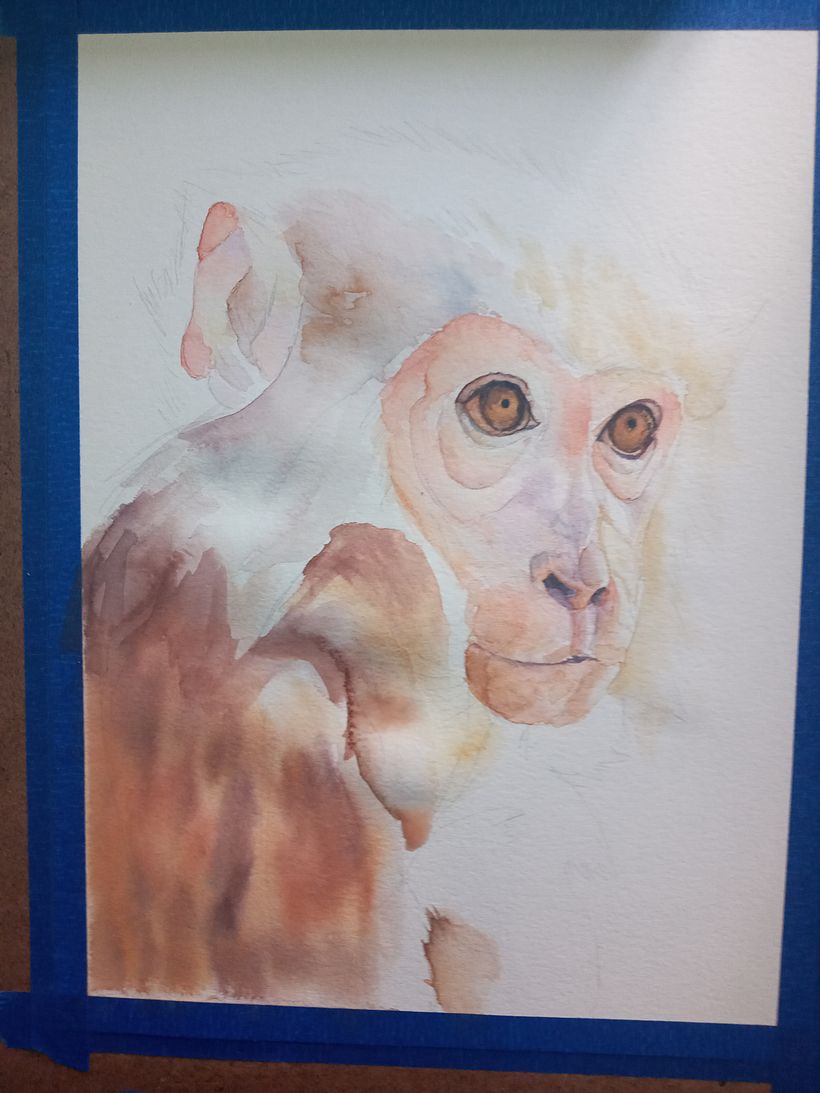 Mi Proyecto del curso: Retratos expresivos de animales en acuarela 7