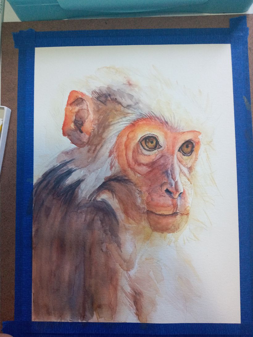 Mi Proyecto del curso: Retratos expresivos de animales en acuarela 8