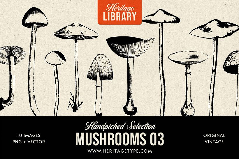 “Mushrooms 03”, de Heritage Library.