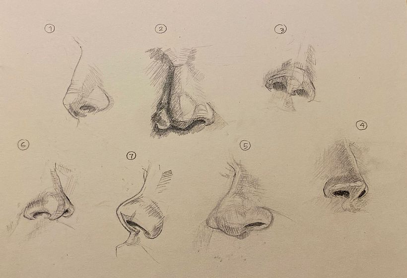Dessins de nez. les 7 premieres esquisses.