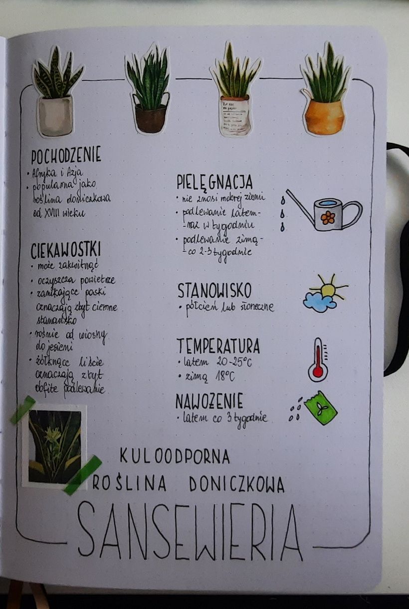 collection