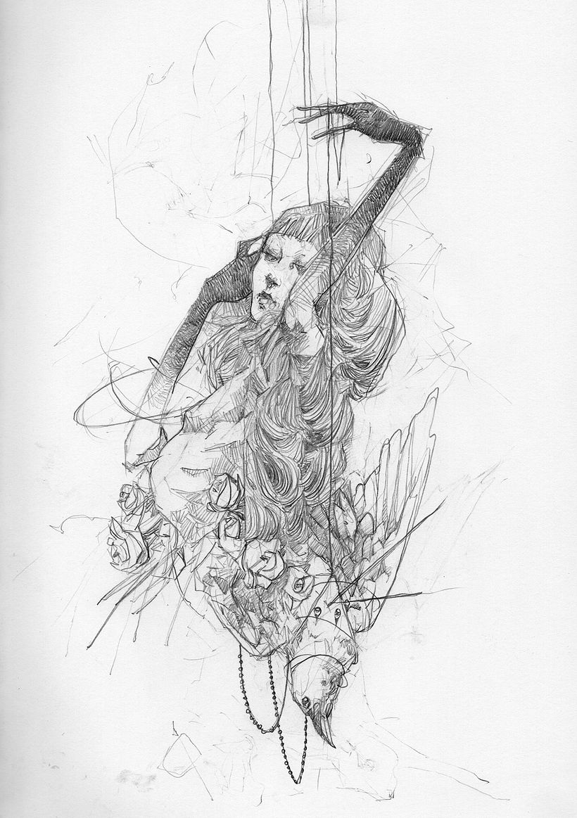 MUSE 5