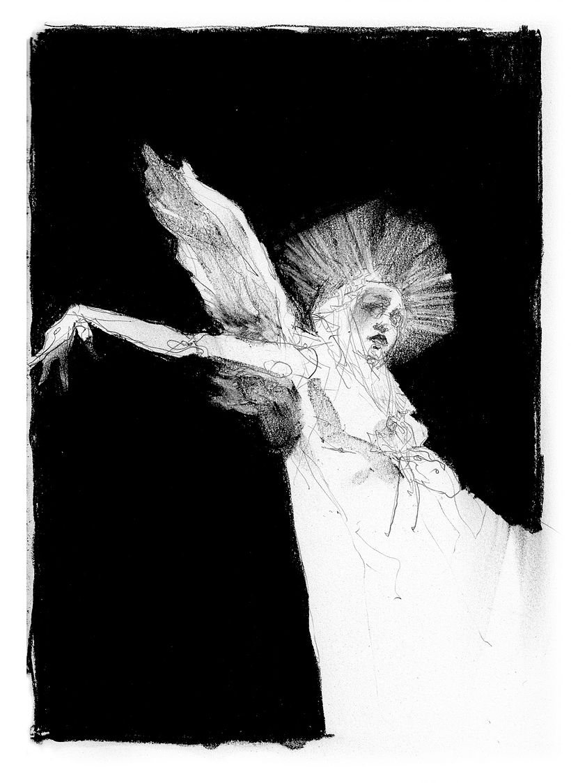 MUSE 6