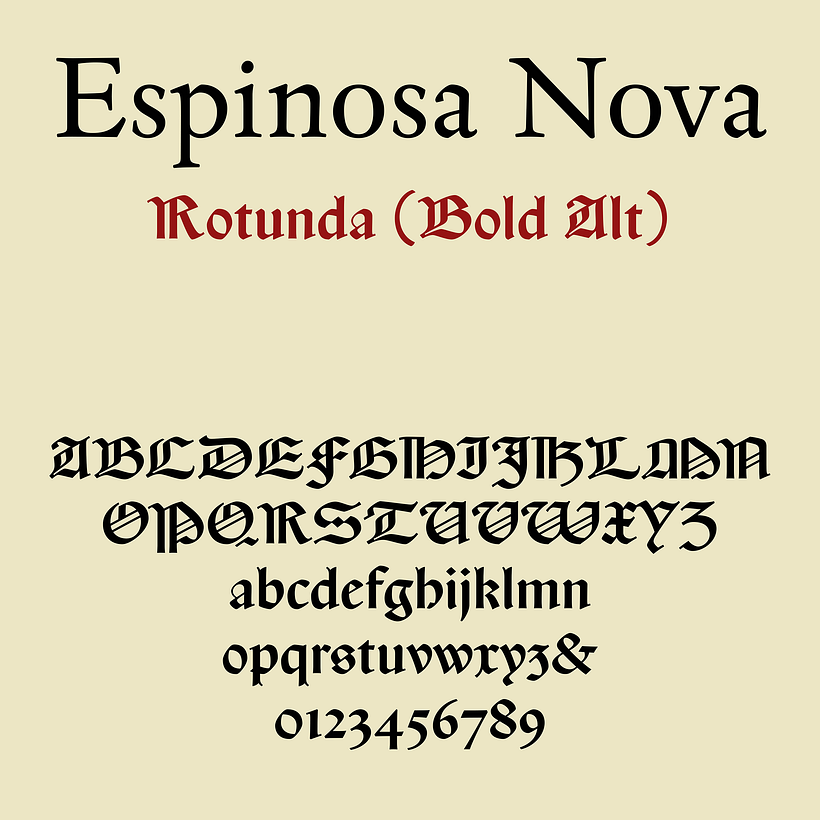 Espinosa Nova 7