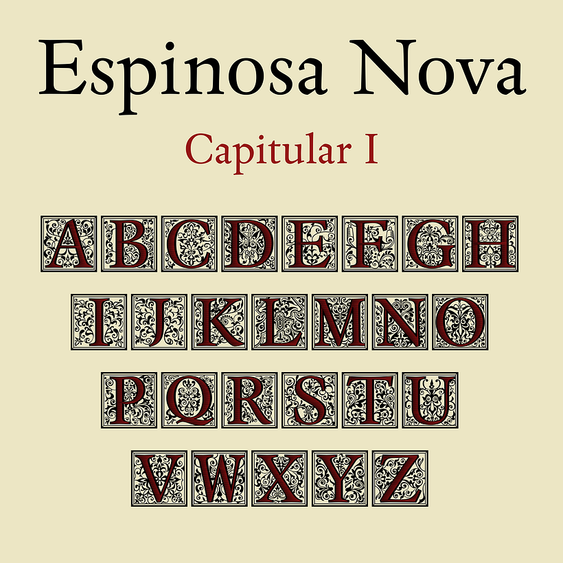 Espinosa Nova 10