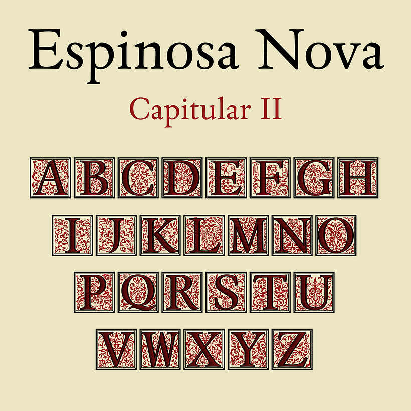 Espinosa Nova 11