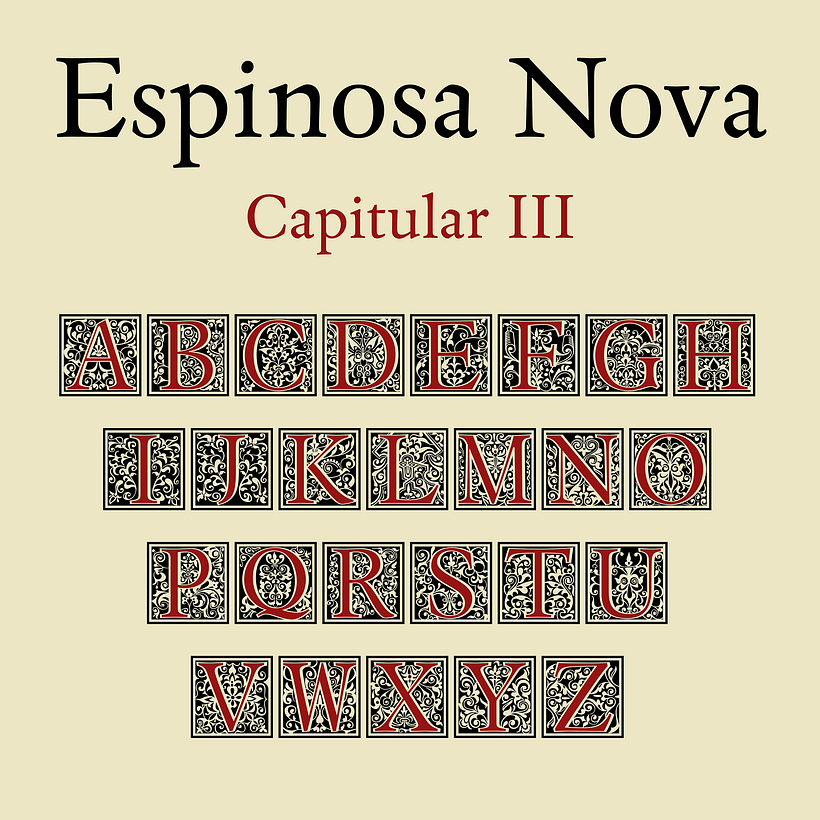 Espinosa Nova 12