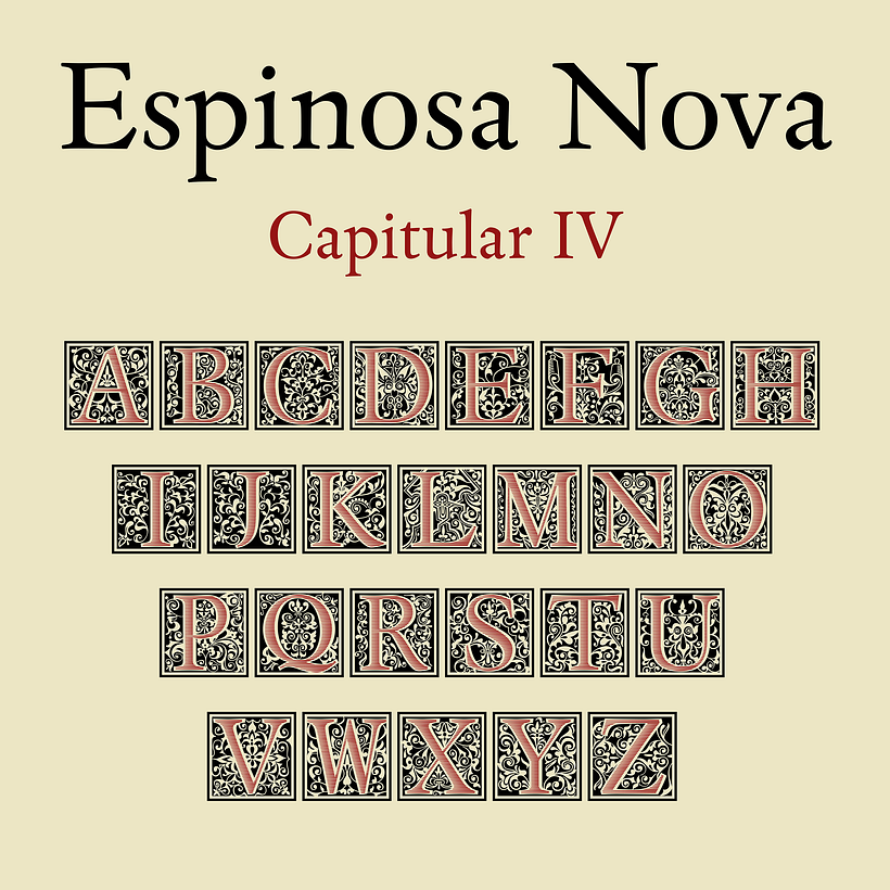 Espinosa Nova 13