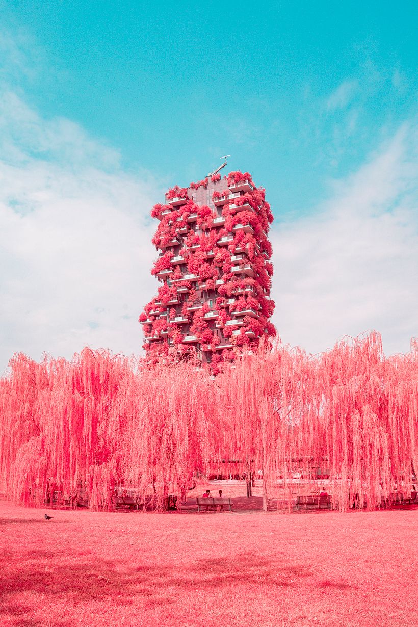 Immagine finale - filtro IR Chrome