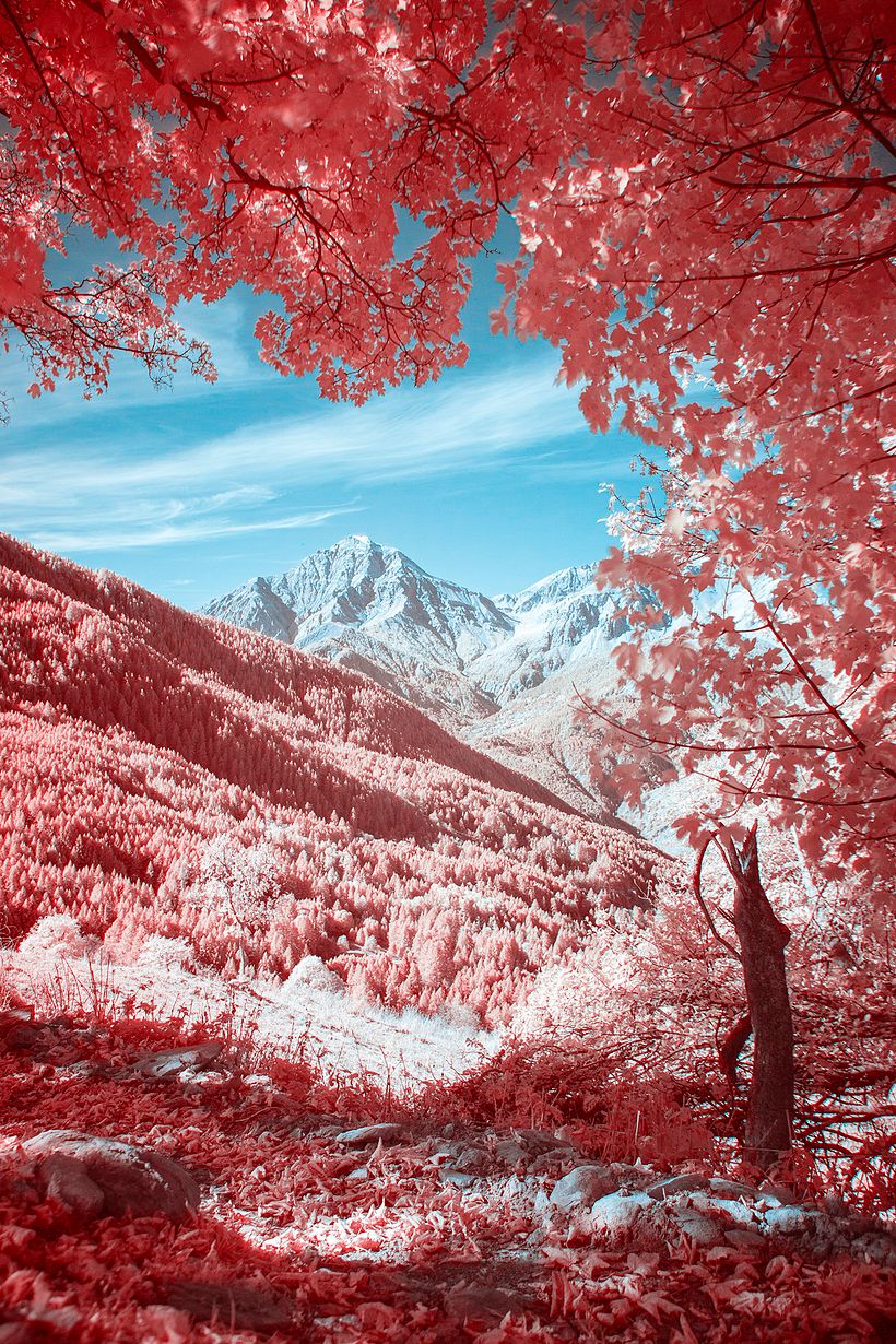Scatto finale - Filtro 720nm
