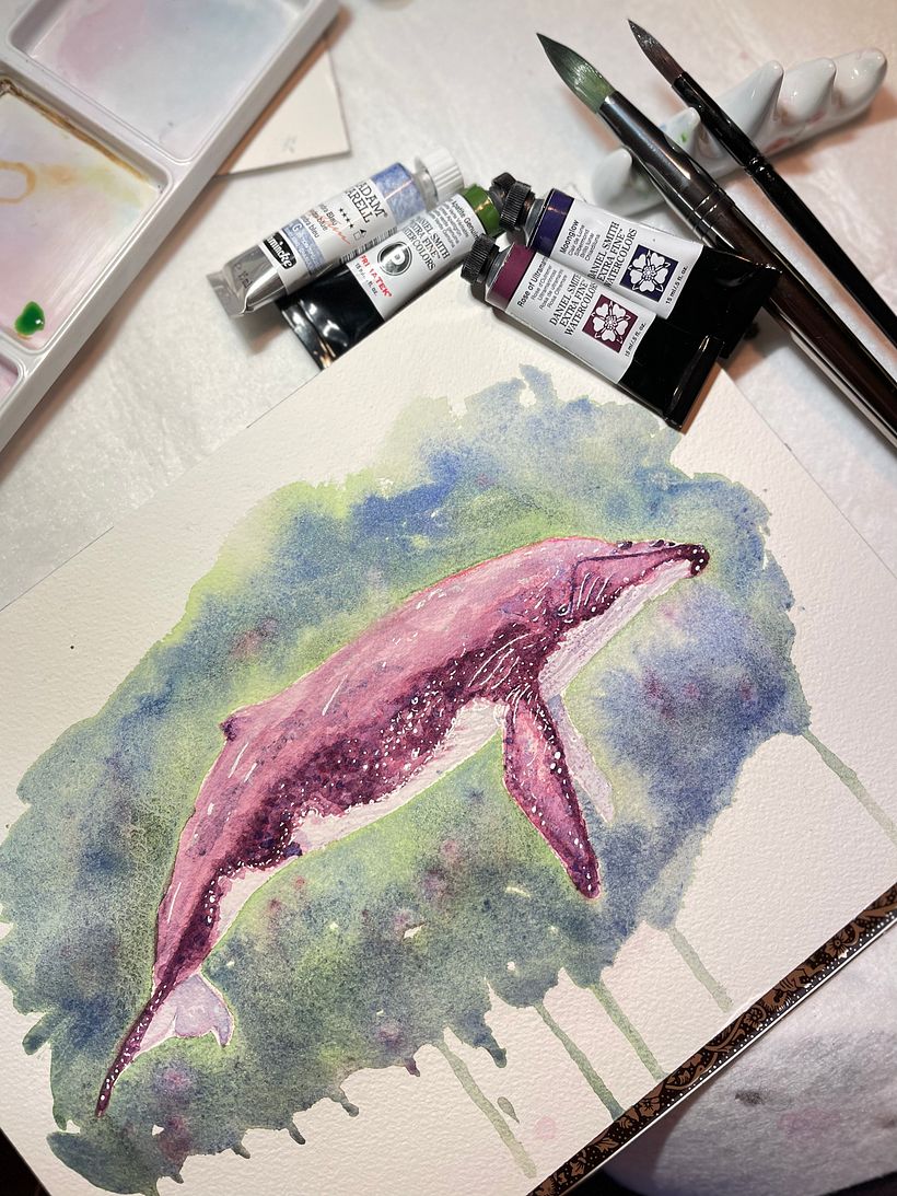 My project in Naturalist Illustration Techniques: Whales in Watercolor course 3