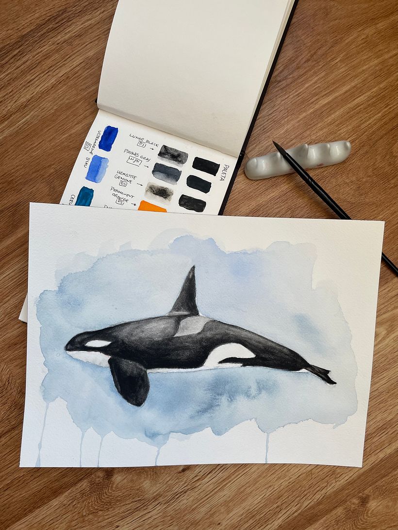 My project in Naturalist Illustration Techniques: Whales in Watercolor course 4