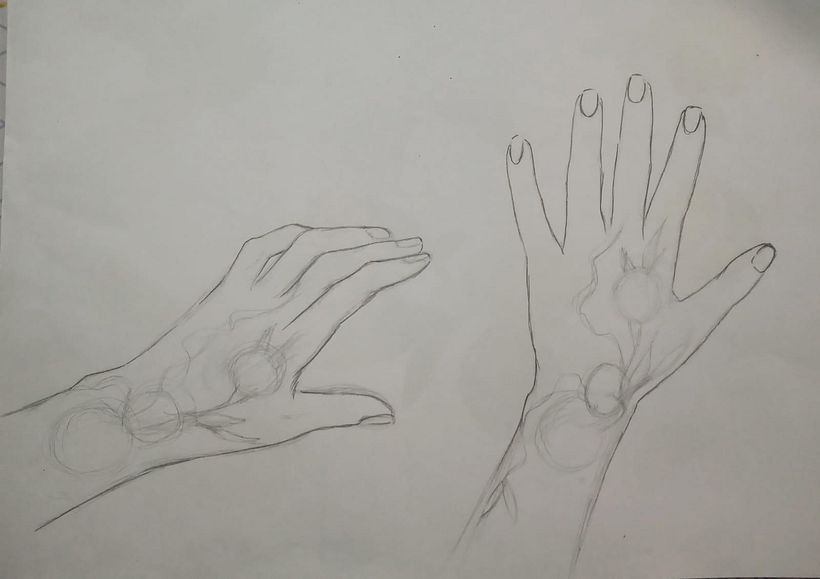 Planejando o Layout pensando na anatomia.