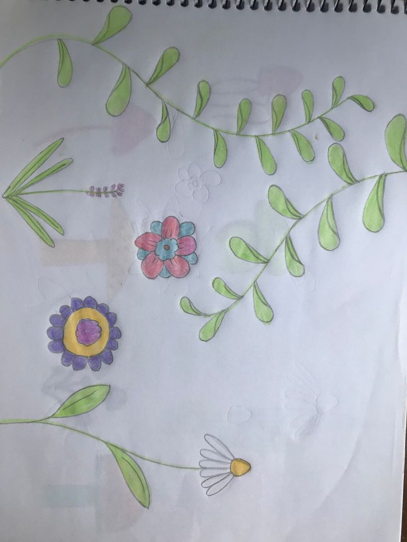 treino: desenho de elementos botânicos no papel