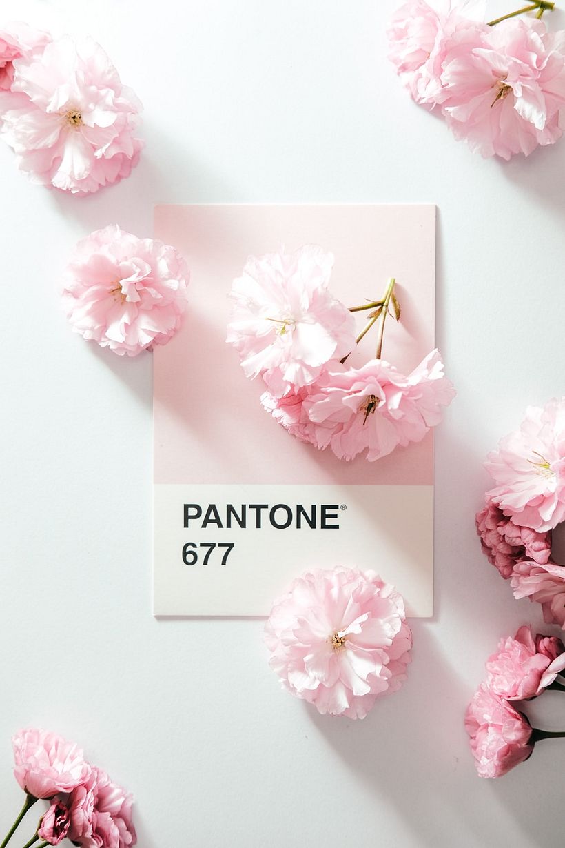 Comment créer une harmonie de couleurs ? 5
