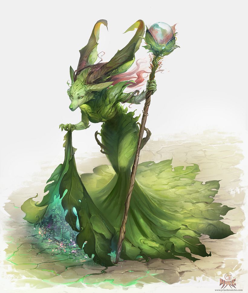 Flora