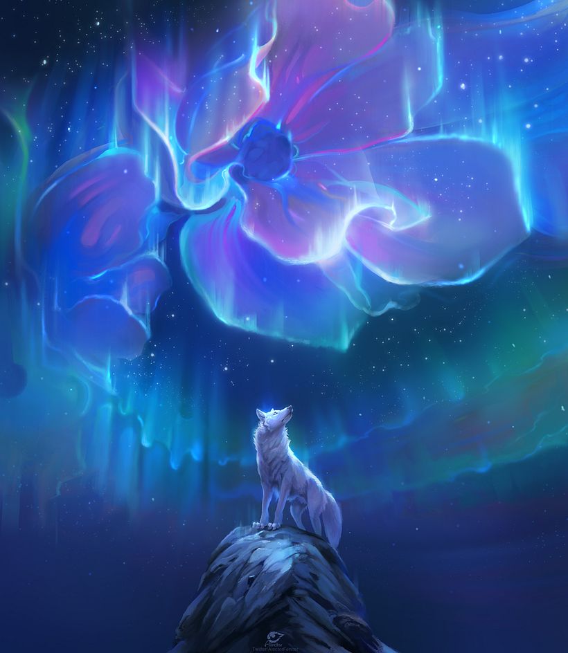 Aurora Florealis