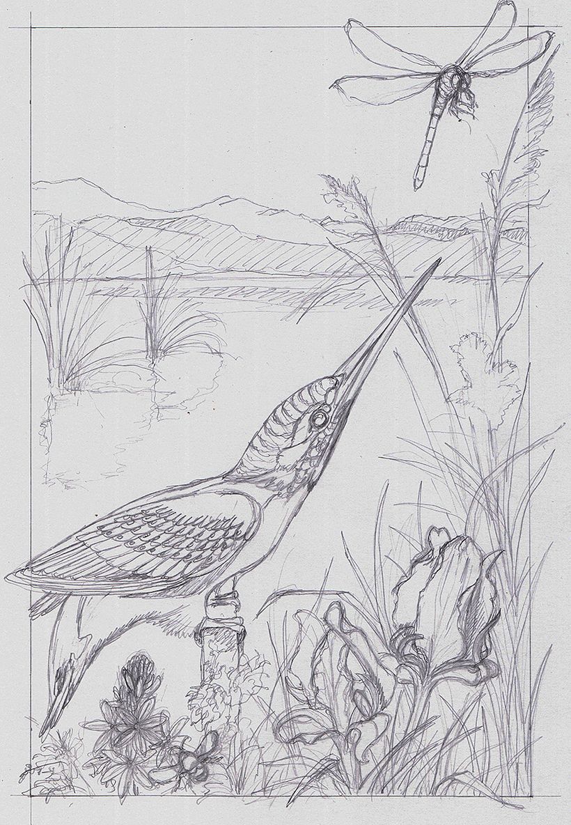 Pencil sketch for the basic composition