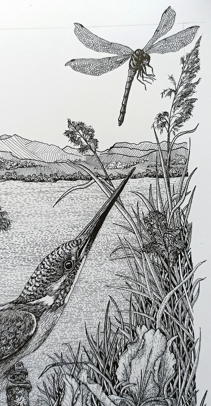 Detail