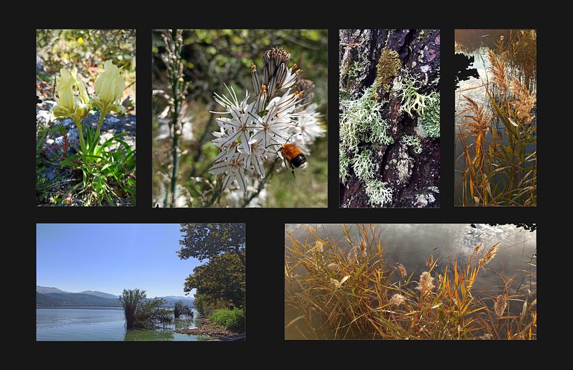 Mood board