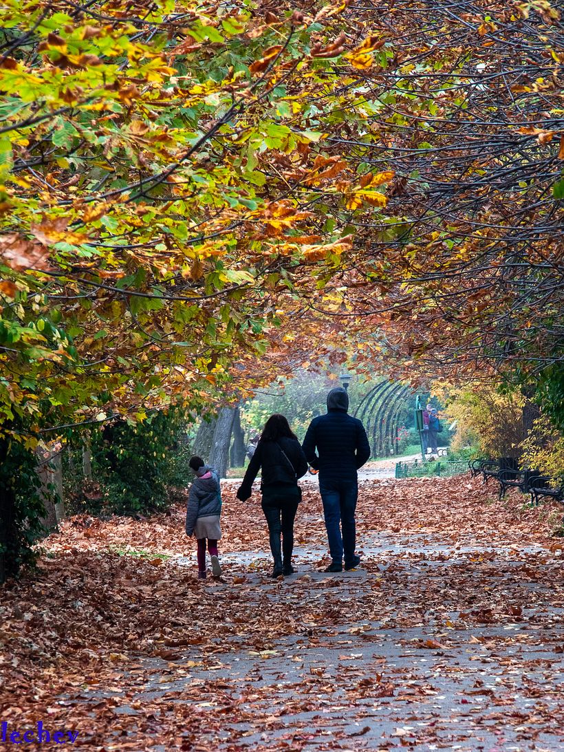 A perfect day in Buharest botanical garden 8