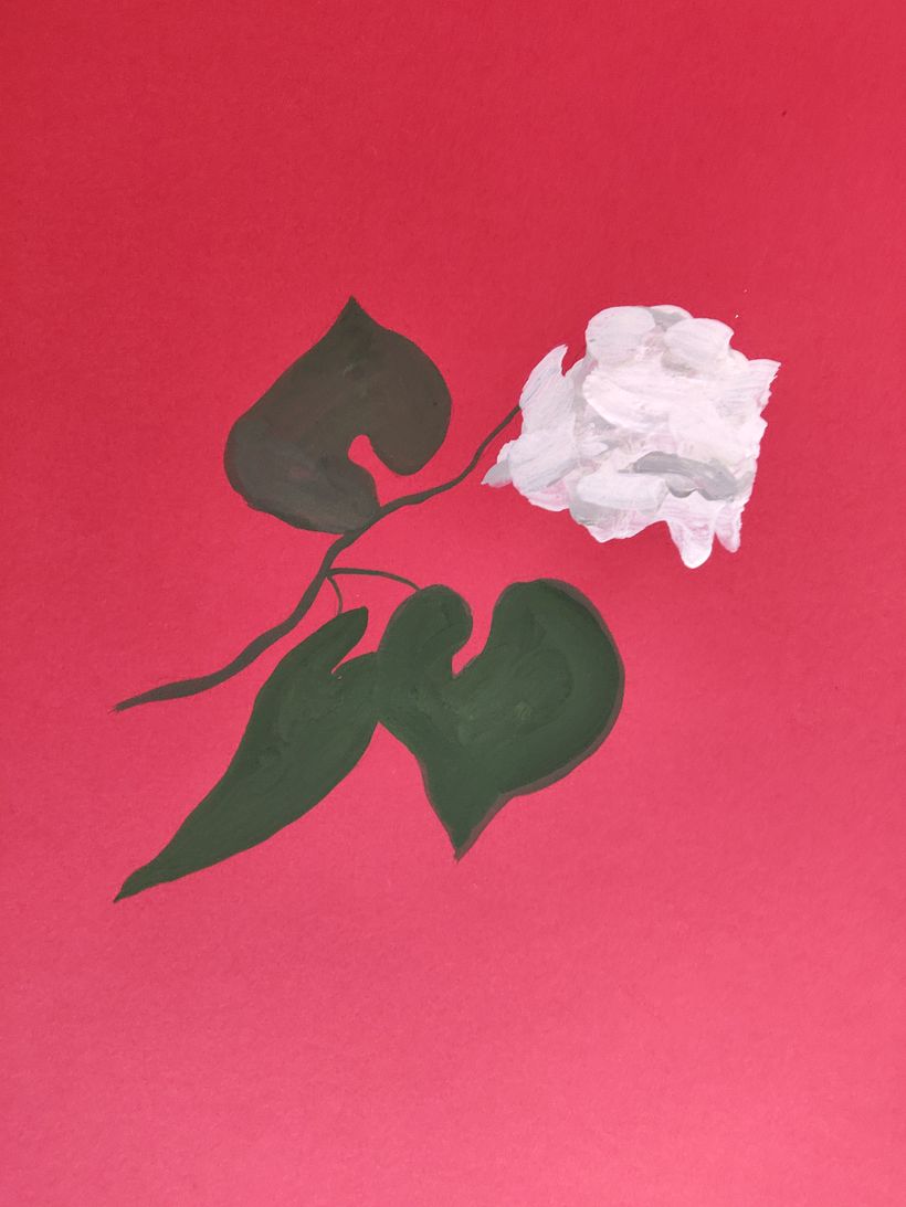My project in Contemporary Print Design: Scale, Color, and Composition course 2