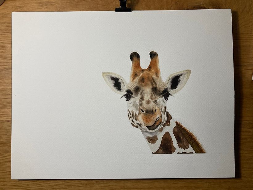 My project in Expressive Animal Portraits in Watercolor course 1
