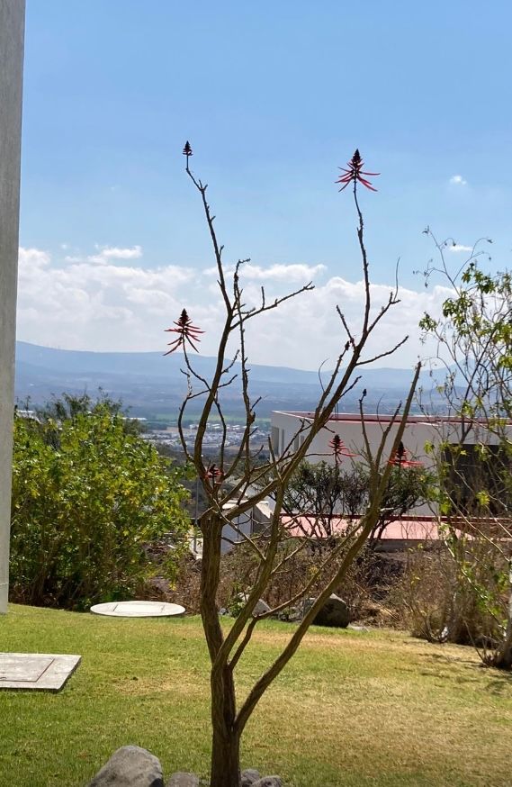 Ejercicio de puntuación    4