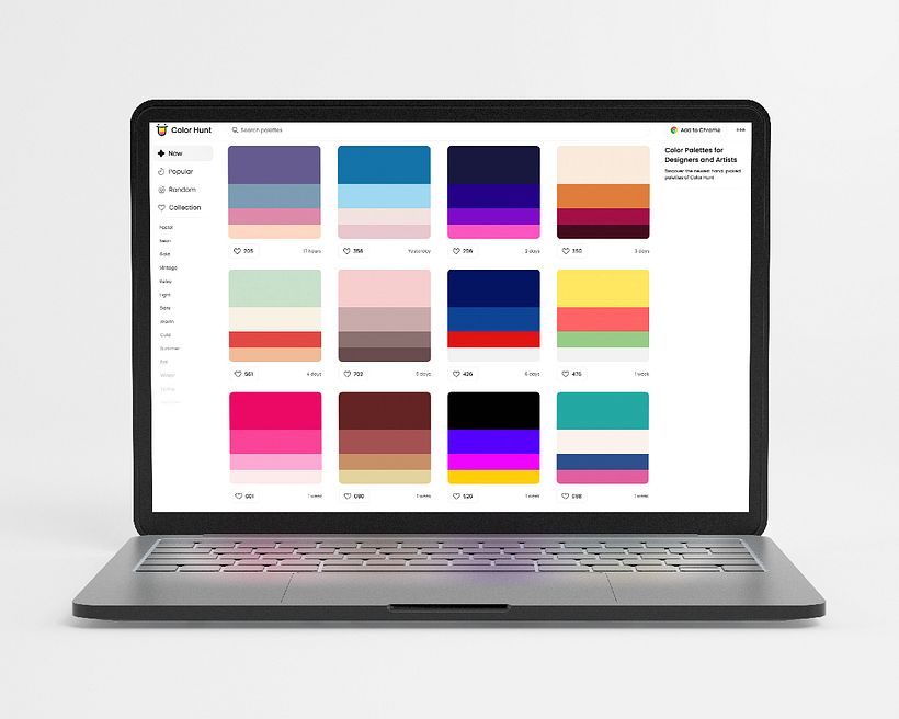 Color Hunt