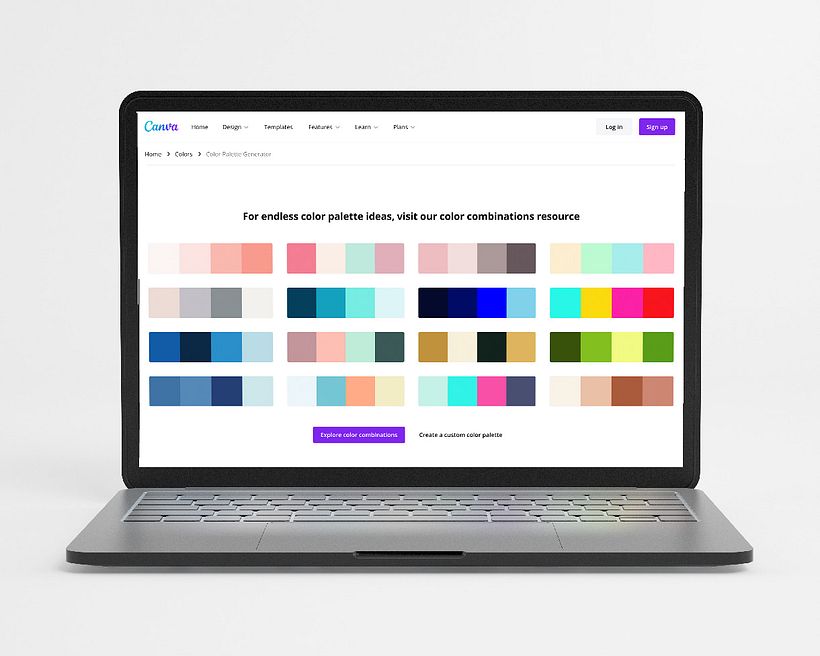 Canva Colors
