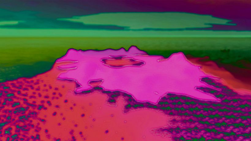 Introduction To The Future Self 5