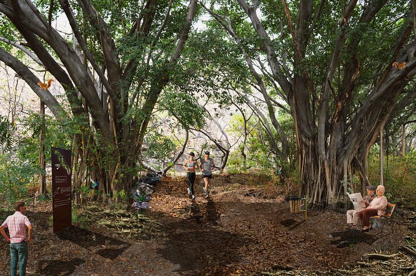 Sendero natural palo santo Guayaquil  1