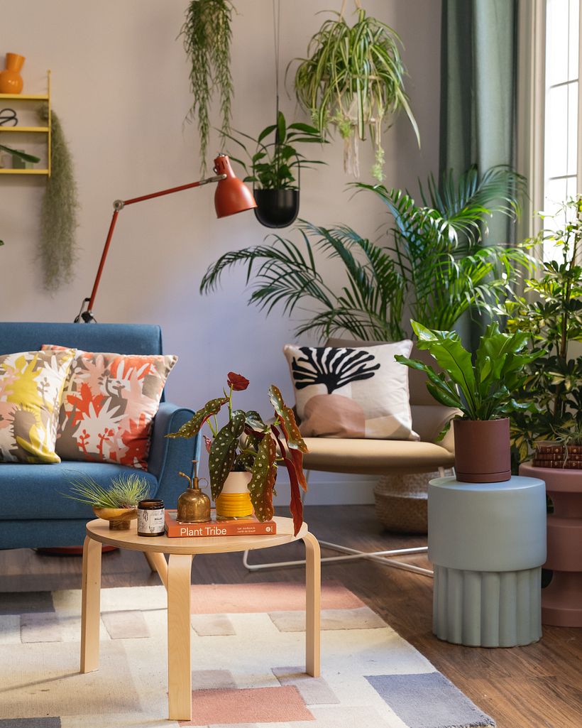 a cozy urban jungle hangout