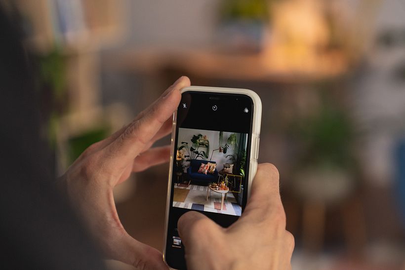 capture the final result of your plant styling project