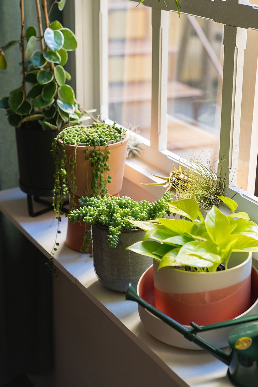 window sill bliss