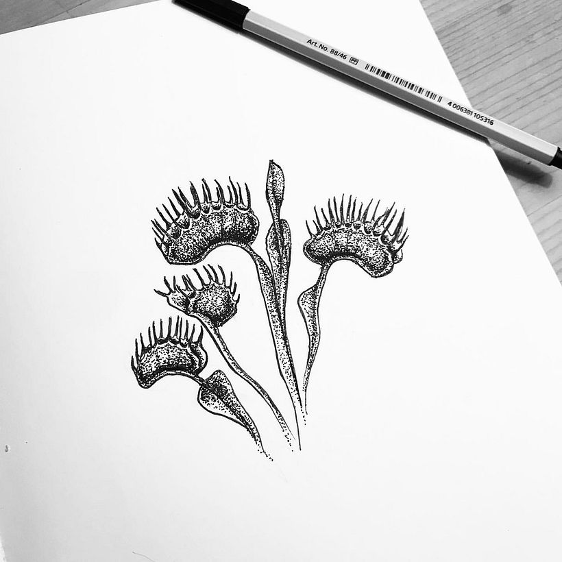 Different Impressions of Sketches & Artwork 8