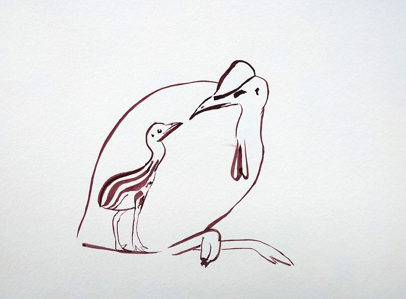 Only after having sketched the cassowary birds so many times (far from 100) I was able to capture them simply.