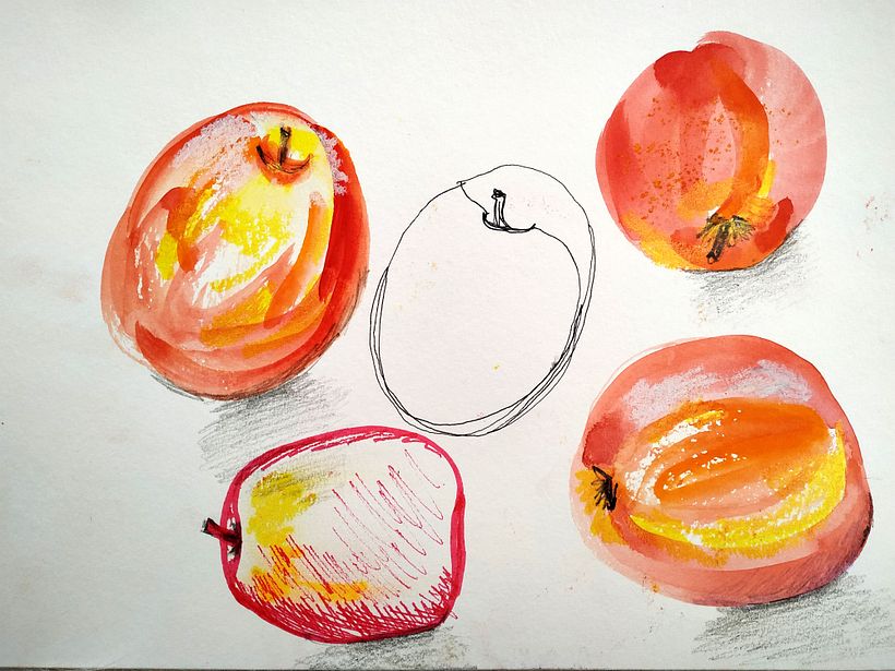 My project in Illustrating Nature: A Creative Exploration course 9