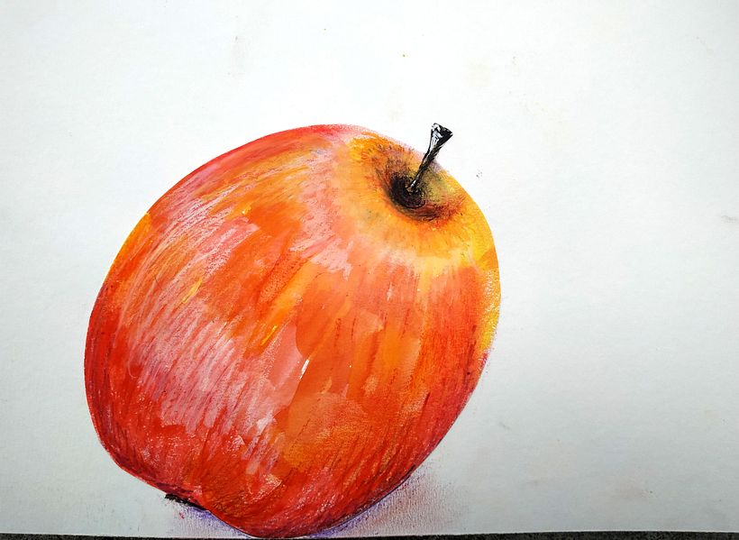 My project in Illustrating Nature: A Creative Exploration course 10