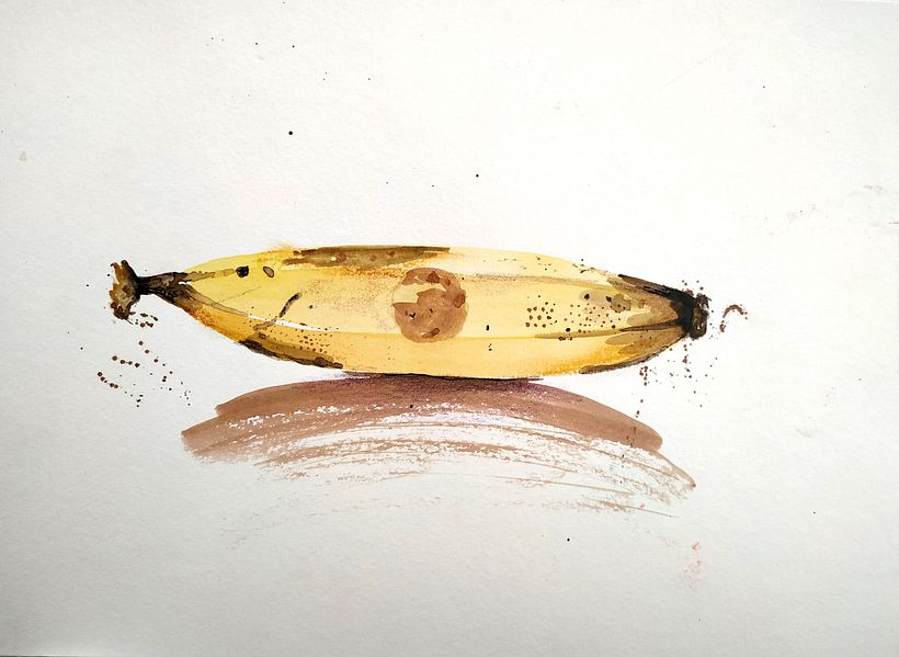 My project in Illustrating Nature: A Creative Exploration course 11